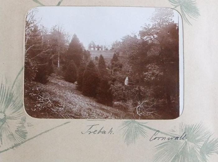 DrRPfeiffer-1899 203